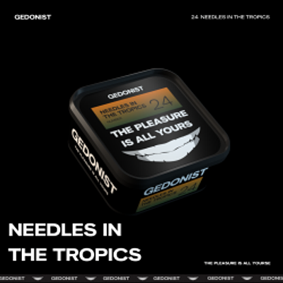 24 Needles in the tropics (Манго,мандарин,прохолодна хвоя)