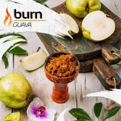 Guava (Гуава)
