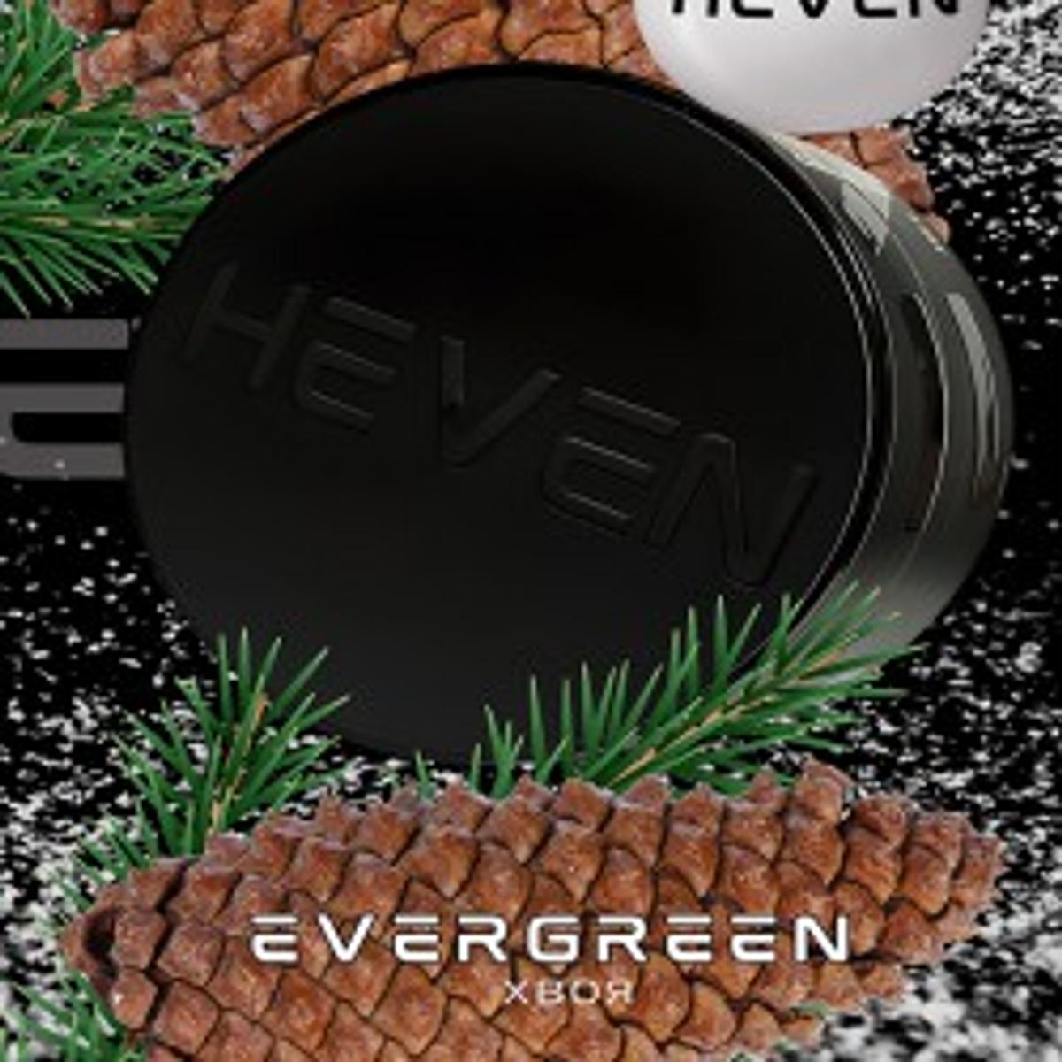 Evergreen (хвоя)