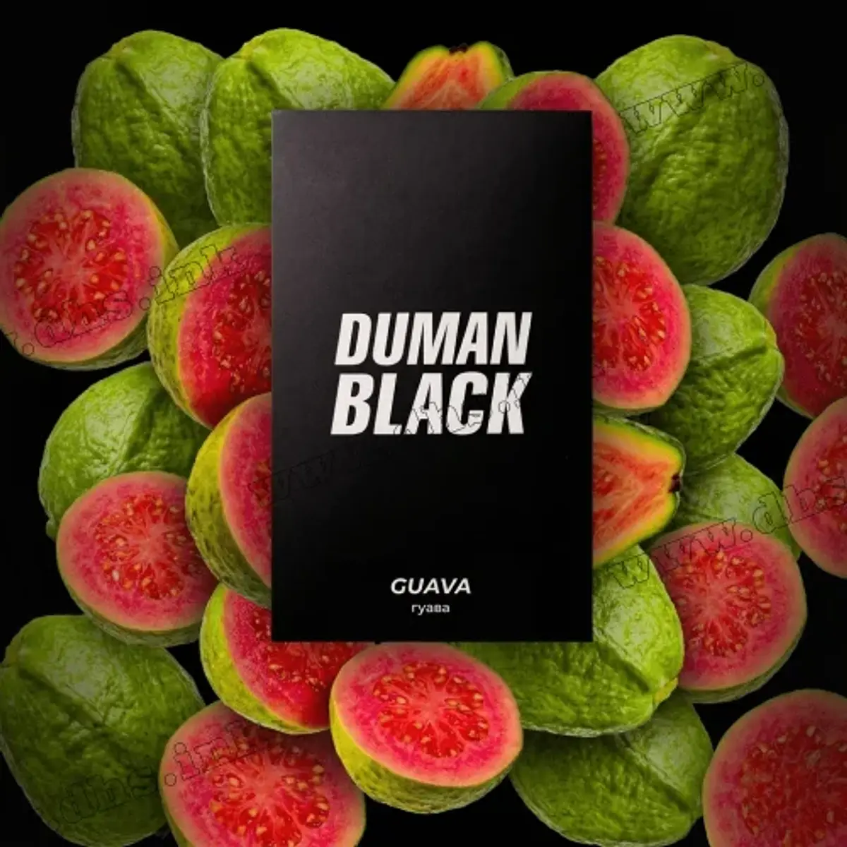 Guava