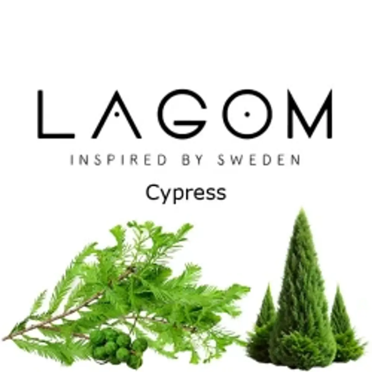 Cypress