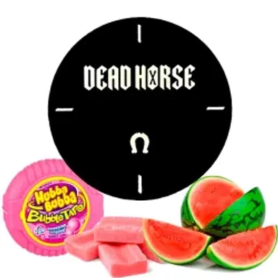 Watermelon Gum