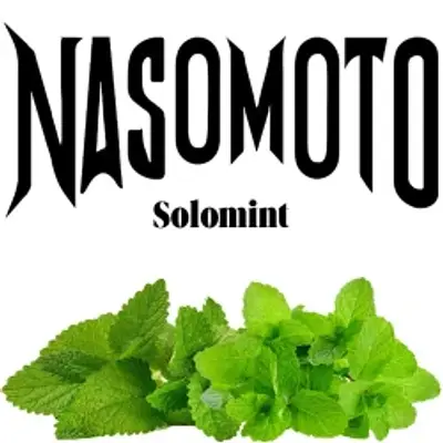 Соломінт