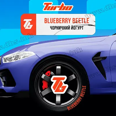 Blueberry Beetle