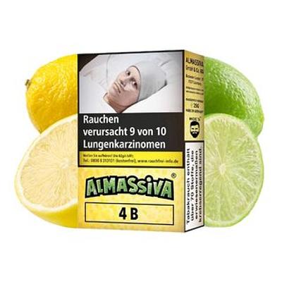 4b Eine Familie