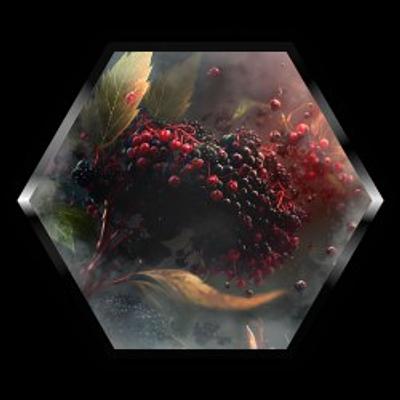 Elderberry