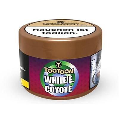While E. Coyote