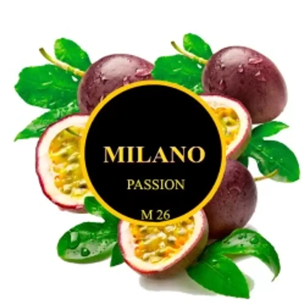 Passion M26