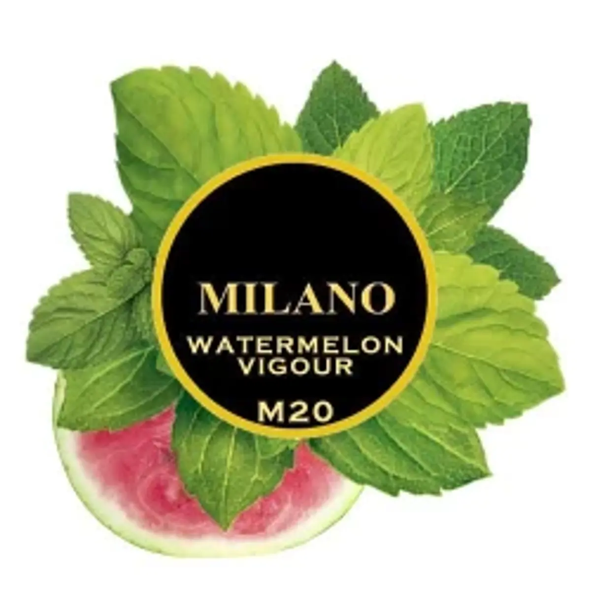 Watermelon Vigour M20